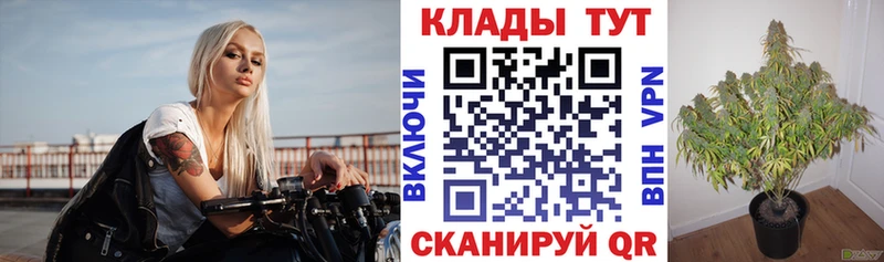Где можно купить наркотики Сафоново Кокаин  Alpha PVP  ГАШ  Мефедрон 