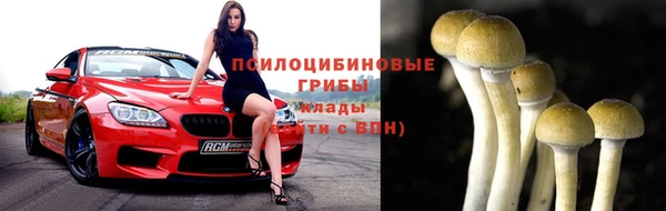 дживик Балахна