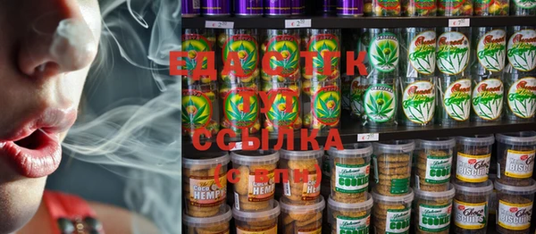 индика Новокубанск