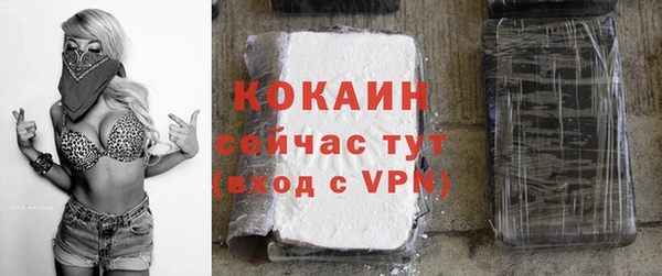 дживик Балахна