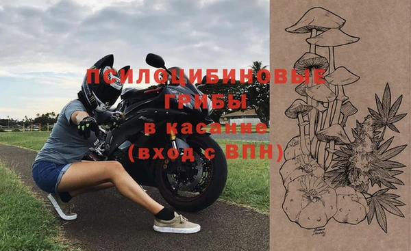 дживик Балахна