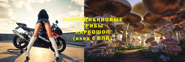 дживик Балахна